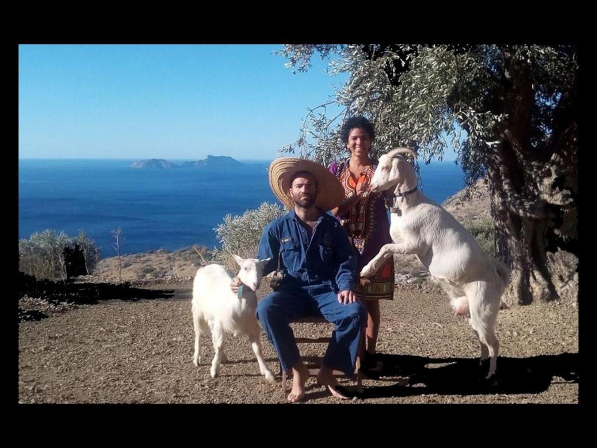 Sea Breeze Ecological Villa Αγία Γαλήνη Εξωτερικό φωτογραφία