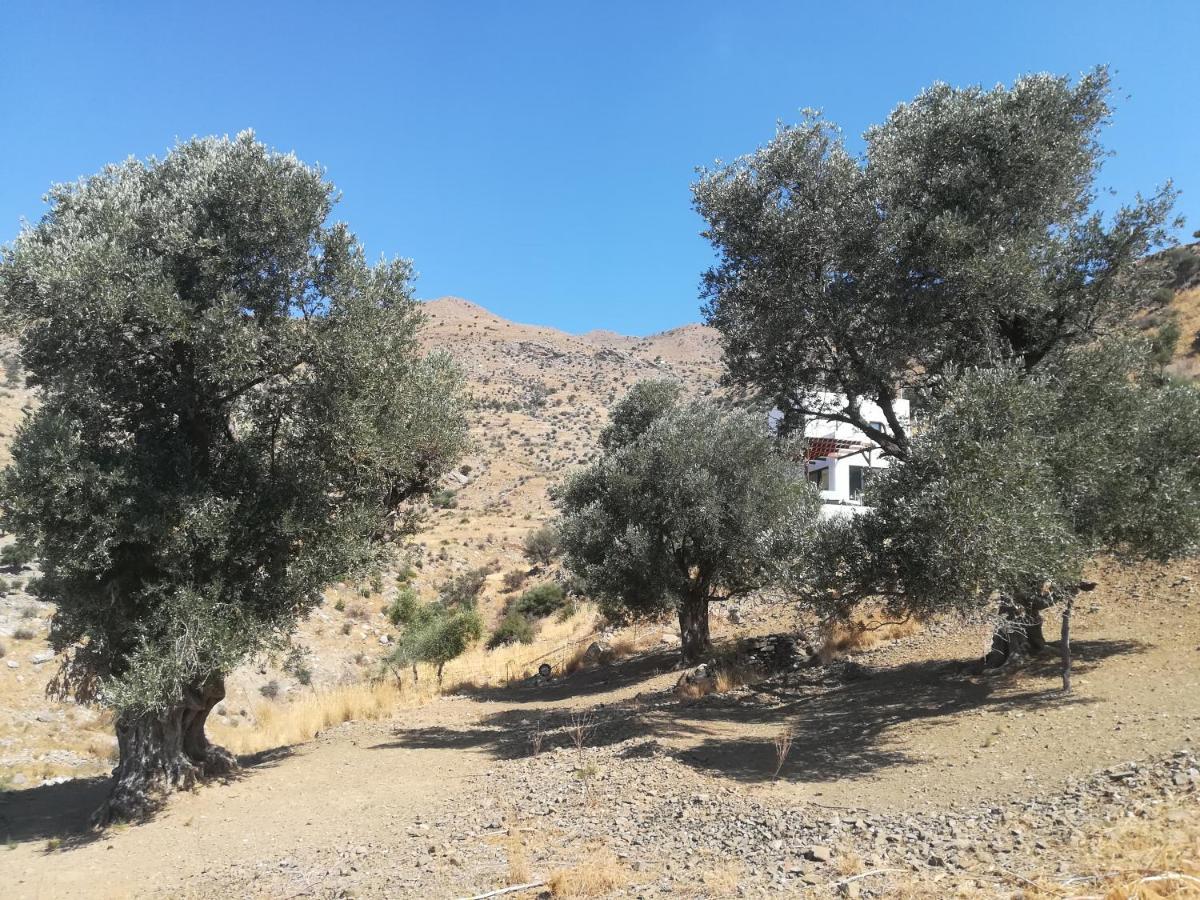 Sea Breeze Ecological Villa Αγία Γαλήνη Εξωτερικό φωτογραφία