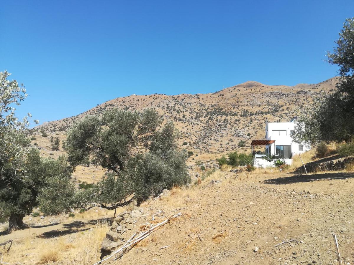 Sea Breeze Ecological Villa Αγία Γαλήνη Εξωτερικό φωτογραφία