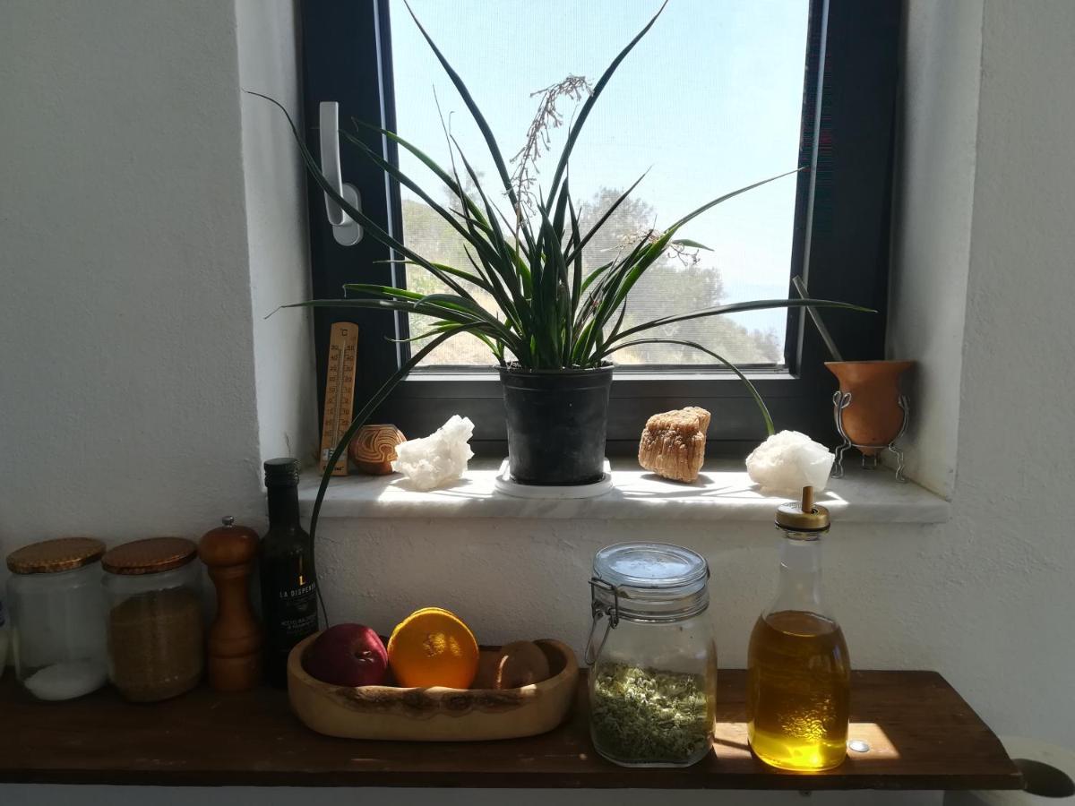 Sea Breeze Ecological Villa Αγία Γαλήνη Εξωτερικό φωτογραφία
