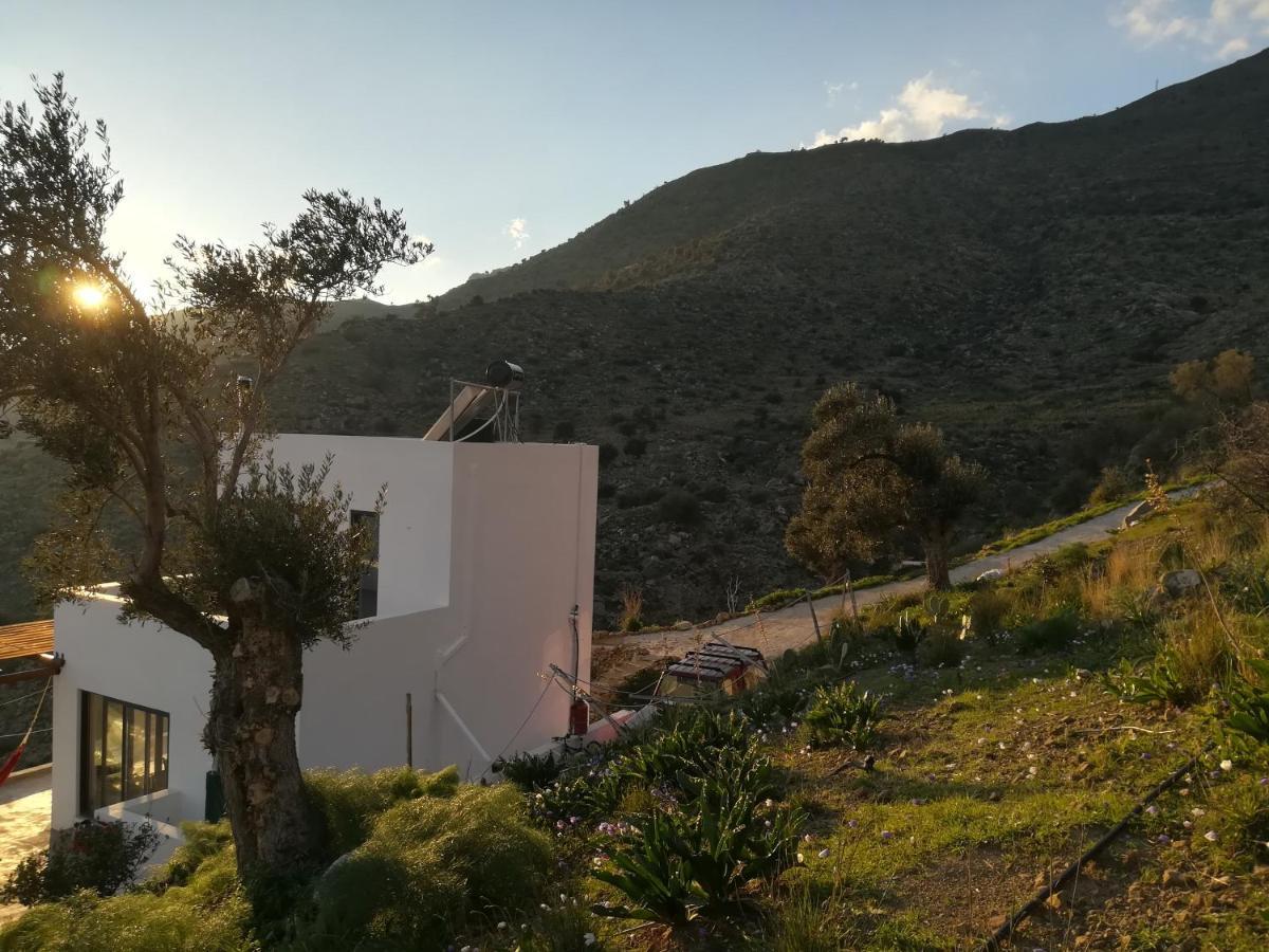 Sea Breeze Ecological Villa Αγία Γαλήνη Εξωτερικό φωτογραφία