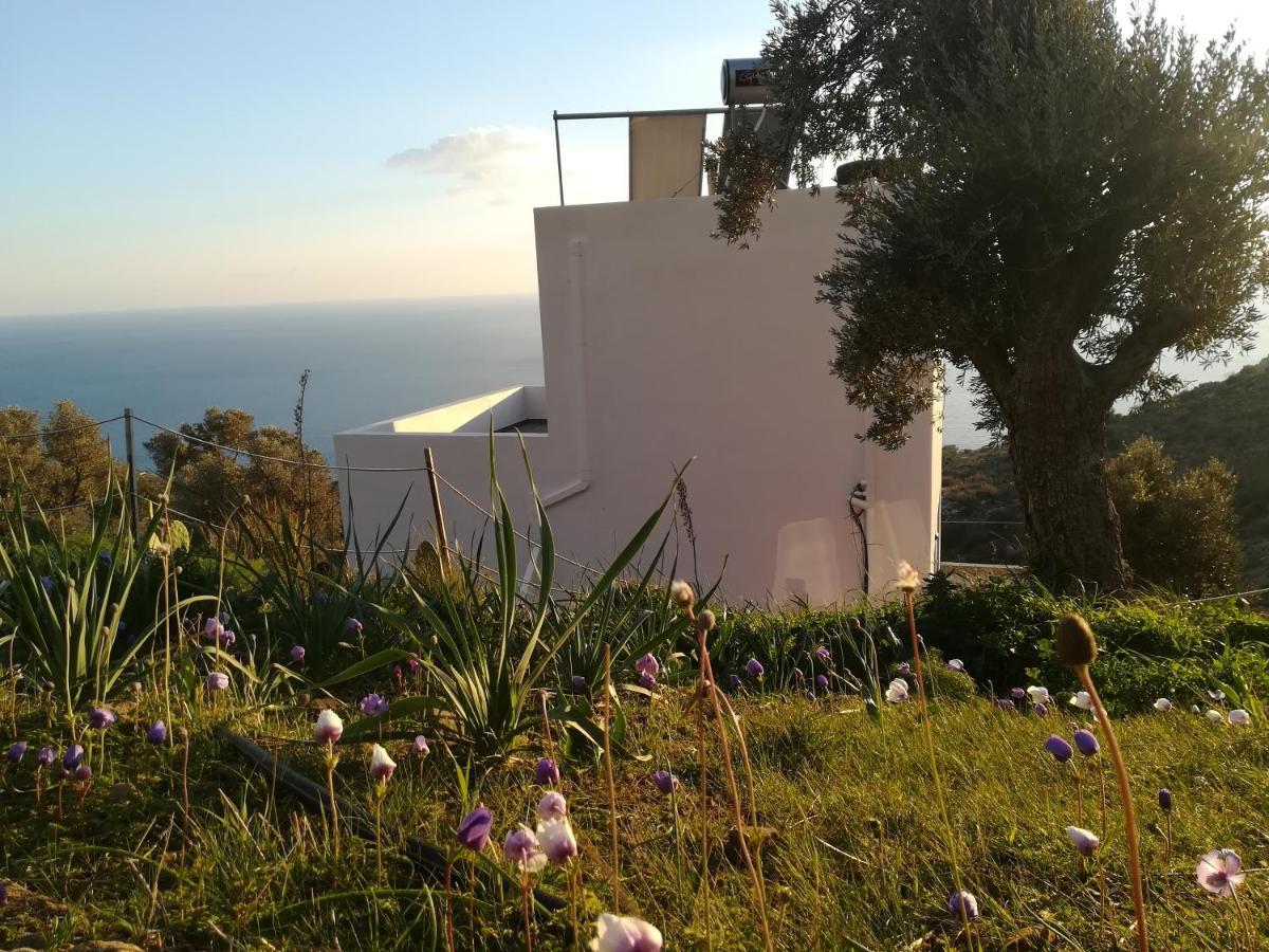 Sea Breeze Ecological Villa Αγία Γαλήνη Εξωτερικό φωτογραφία